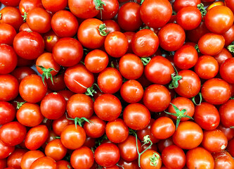 Fresh organic tomatoes closeup farm market vegetables