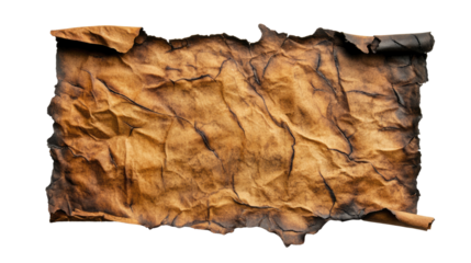 Vintage parchment with burnt edges and a grunge texture