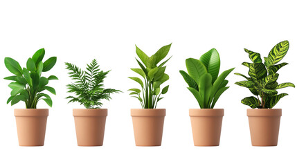 garden pots with green plants on transparent background