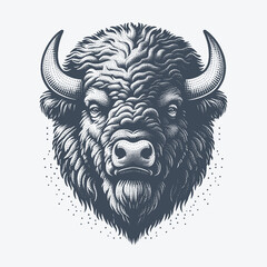 bison vector illustration