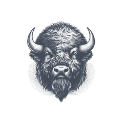 bison vector illustration