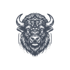 bison vector illustration