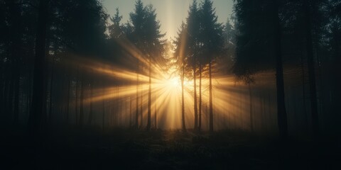 A serene forest scene at sunrise, with sunlight streaming through mist-covered trees, creating a magical, ethereal atmosphere.