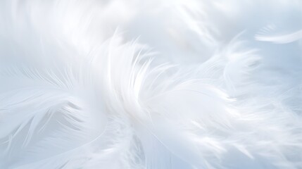 Obraz premium Abstract feather rainbow patchwork background