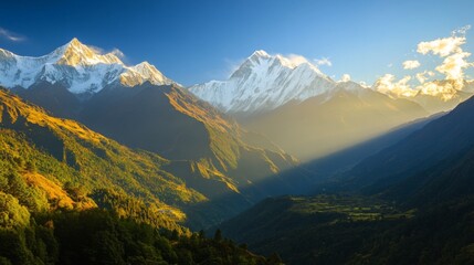 Obraz premium A panoramic view of towering snow-capped peaks bathed in golden sunlight, with clear blue skies and lush green valleys below, showcasing the grandeur of high mountain ranges.