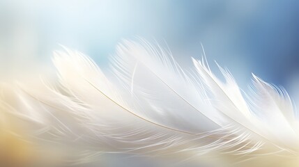 Obraz premium Abstract feather rainbow patchwork background