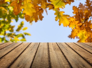 The empty blank wooden table with background of autumn.