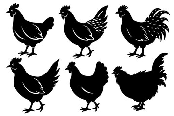 6 different hen silhouette vector,icon on white background.