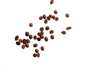 Falling coffee beans isolated on white background with clipping path