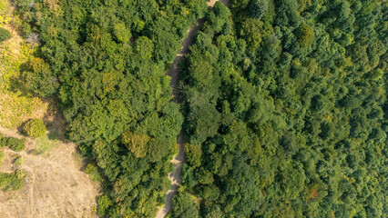 Wald von oben mit einem schotterweg in kosovo am helligten sonnigen tag