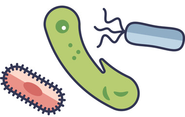Illustration of various bacteria types, highlighting their diverse shapes and structures.