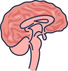 Illustration of a stylized human brain in pink tones, symbolizing intellect and mental health.