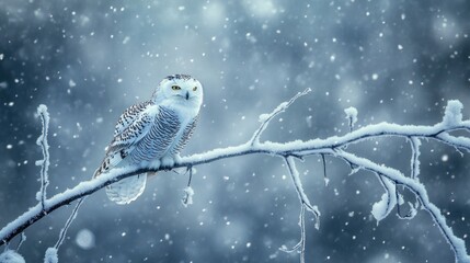 A snowy owl perched on a frosty branch, surrounded by falling snow, exuding quiet wisdom in the winter landscape.