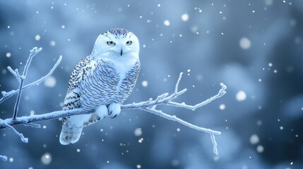 A snowy owl perched on a frosty branch, surrounded by falling snow, exuding quiet wisdom in the winter landscape.