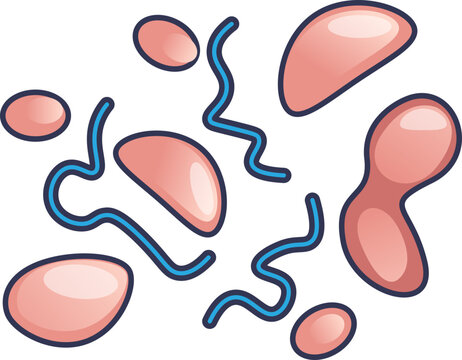 Illustration of macromolecules with various shapes and structures, representing proteins and nucleic acids.