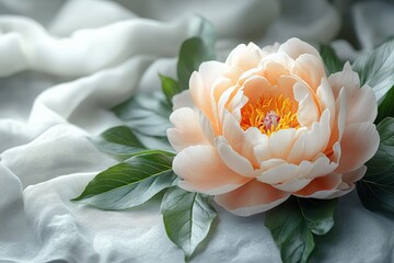Fototapeta premium Close-up of two delicate pink peony flowers with lush green leaves against a clean white background, showcasing their elegant beauty.
