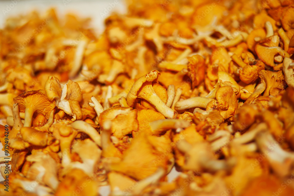 Wall mural Large heap of fresh ripe organic chanterelle mushrooms on farmer market in Helsinki, Finland.