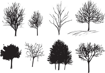 Obraz premium Set Trees. Hand drawn vector illustration 