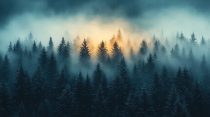 Eerie Snowstorm Blanketing Dark Forest - Moody Nature Landscape with Nikon Z7 II 35mm Lens