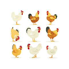 Cartoon Chicken Illustration Set with Rooster and Hen Characters
