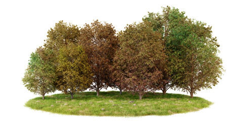 Group of three autumn trees with green grass isolated on transparent Background
