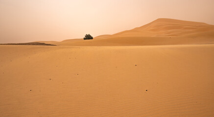 Paisajes de Marruecos
