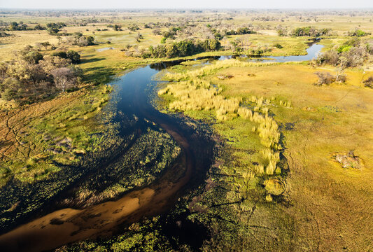 Aerial view of The Gomoti River with its adjoining freshwater marshland, aerial view, Okavango Delta, Moremi Game Reserve, Botswana.