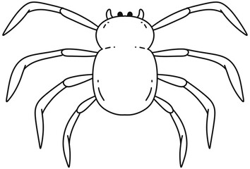 Halloween spider doodle hand drawn