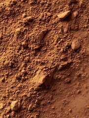 Obraz premium Rich Brown Soil with Rocks