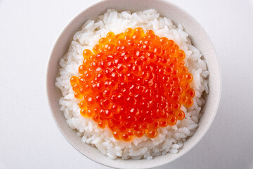 白背景にいくら丼