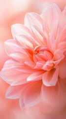 Fototapeta premium A pink flower in sharp focus, background softly blurred