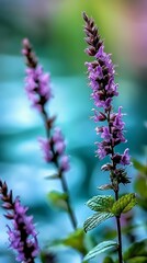 Fototapeta premium A tight shot of a purple bloom, surrounded by a green foliage plant in the foreground, and a blue waterbody in the backdrop