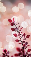  A branch bearing red leaves stands out against a backdrop of pink and white blooms with blurred lights in the background