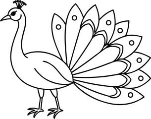 Naklejka premium Graceful Peacock with Fan: A Stunning Vector for Your Coloring Book 
