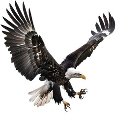 Obraz premium Majestic Eagle in Mid-Flight with Wings Spread Wide