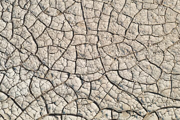 Aerial view of The dry bed of the Ugab river cuts through arid desert plains, behing the Brandberg, Namibia's highest mountain, aerial view, drone shot, Damaraland, Namibia.