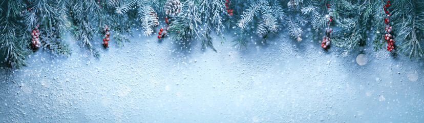 Fir tree branches in snow close up. Christmas and winter concept. 