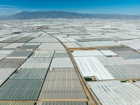 Aerial view of Masses of shimmering plastic greenhouses near El Ejido. Aerial view. Drone shot. Almer&iacute;a province, Andalusia, Spain.