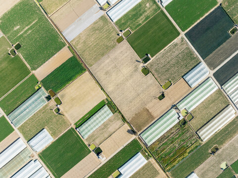 Aerial view of The semi rural district of La Algaida with its cultivated fields next to Sanl&uacute;car de Barrameda. Aerial view. Drone shot. C&aacute;diz province, Andalusia, Spain.