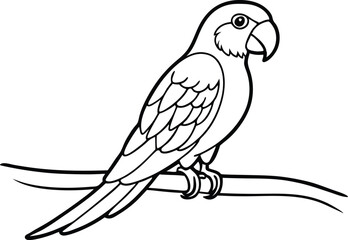 Parrot with a Curved Beak Sitting: Printable Vector for Coloring Book Fun  © Rita