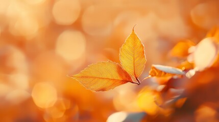 Fototapeta premium A tight shot of a tree leaf on a branch against softly blurred foreground leaves