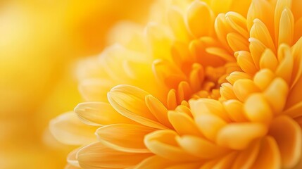 Fototapeta premium A close-up of a yellow flower against a blurred backdrop of yellow flowers