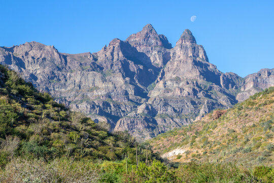 View of majestic Sierra de la Giganta with desert vegetation under a clear sky and moon, Loreto, Baja California Sur, Mexico.