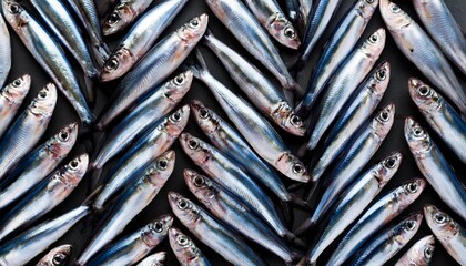 Fototapeta premium anchovies repeated pattern 