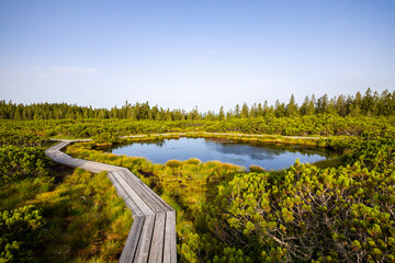View of serene Lovrenska jezera lake surrounded by tranquil forest and boardwalk, Pohorje, Slovenia.