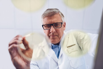 Laboratory, mature man and science with experiment for breakthrough, discovery and medical research by below. Healthcare, male scientist and job with petri dish for sample, vaccine and diagnosis cure © JordaanExams/peopleimages.com