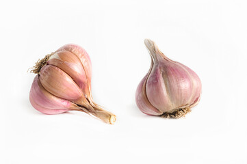 Two large heads of fresh garlic on a white background. Isolated