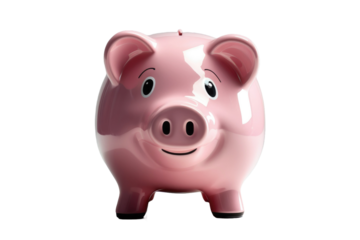 Single pink piggy bank, centered, pristine reflection on a seamless white expanse, soft shadow indicating light source from the upper left, high resolution, sharp focus capturing all textures
