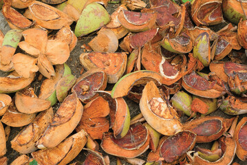 Sepet sabut kelapa, coconut coir husk or coconut shell, Dry coconut fiber fibrous brown.