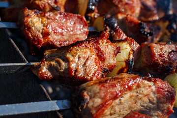 Delicious pork shashlik is cooked on the grill.